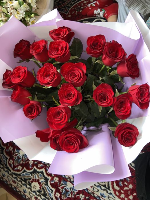 Красный роза голландский 21шт