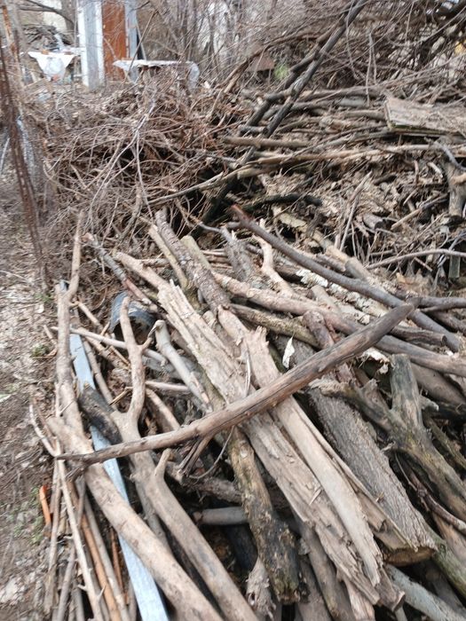 Дрова не рубленые