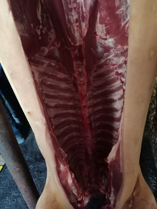 Свинина домашняя