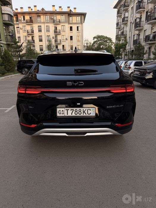 BYD song plus Chempion 150 full