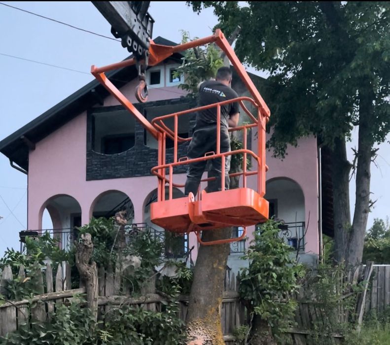 Servicii inchiriere automacara, nacela, rampe, transport, defrisare