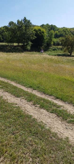 18000 mp teren extravilan in judetul Sibiu 4 euro mp
