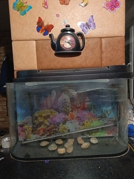 Аквариум для рыбок