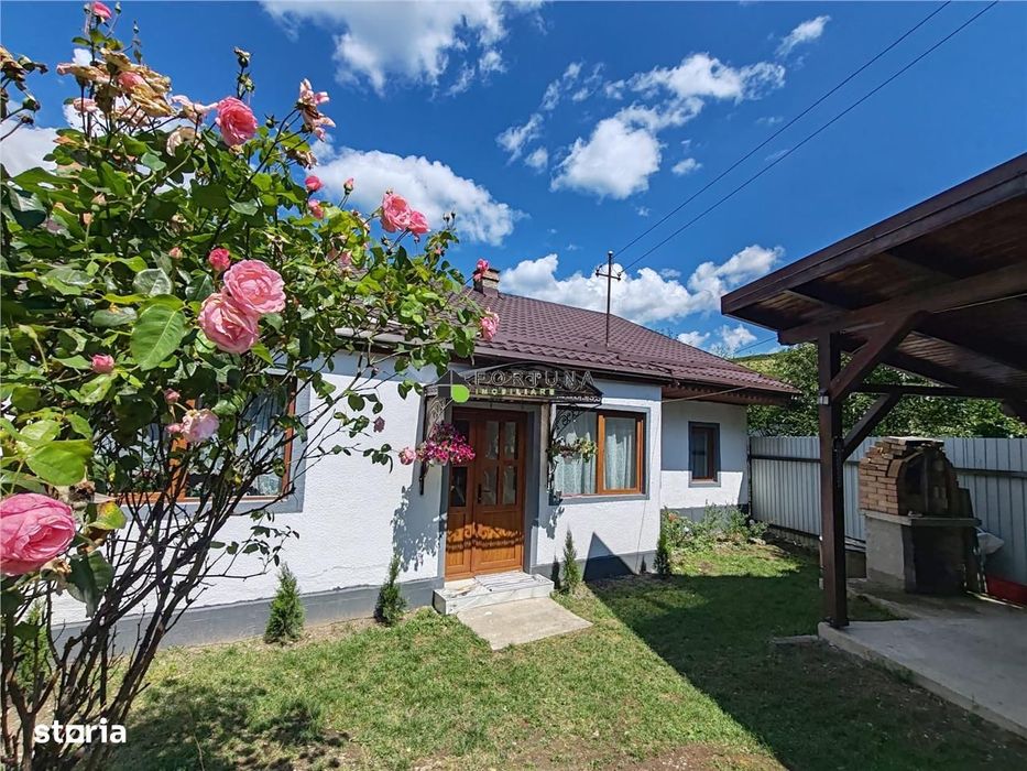 Casa Zizin , 221 mp teren , renovata