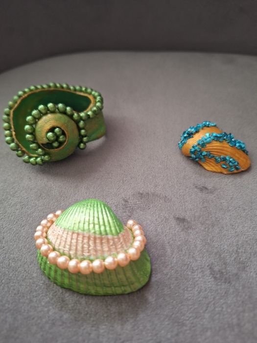 Декоративни морски черупки