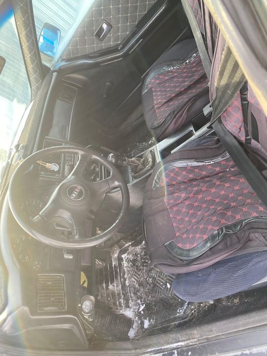 Продам аудюху живую