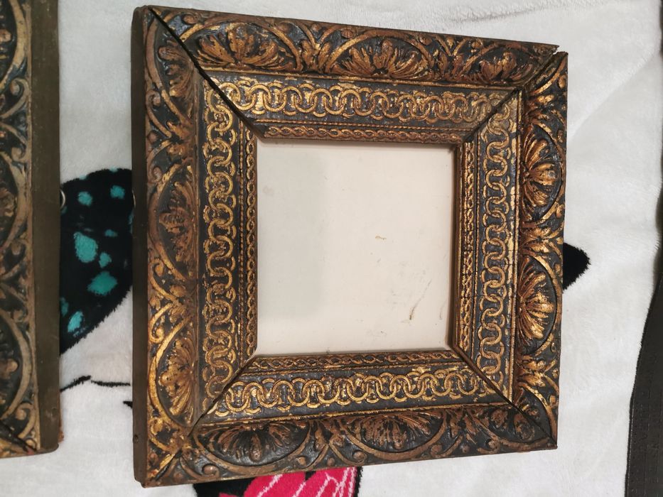 Rame vechi protejate cu geam