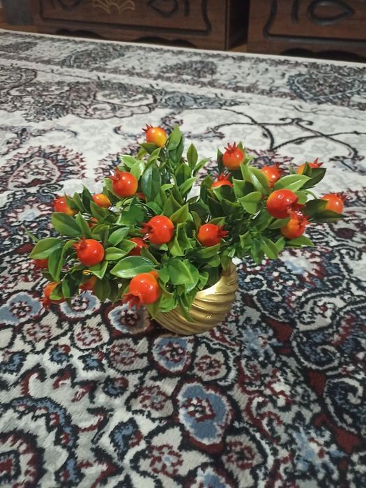 Dekorativ gullar narxlari  katta kichikligiga qarab chiqadi