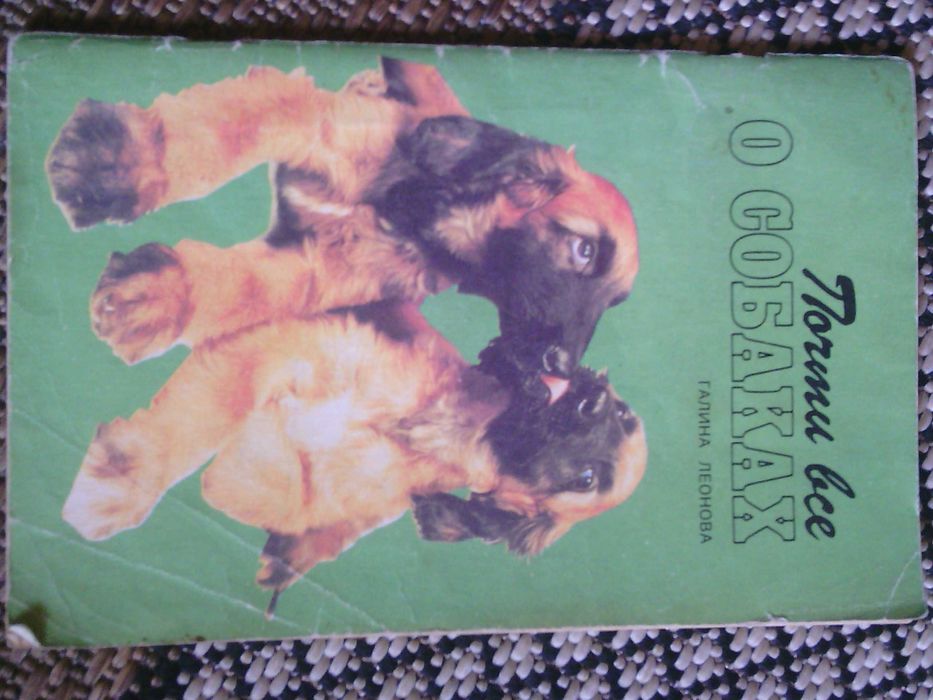 Собаки животные собаки