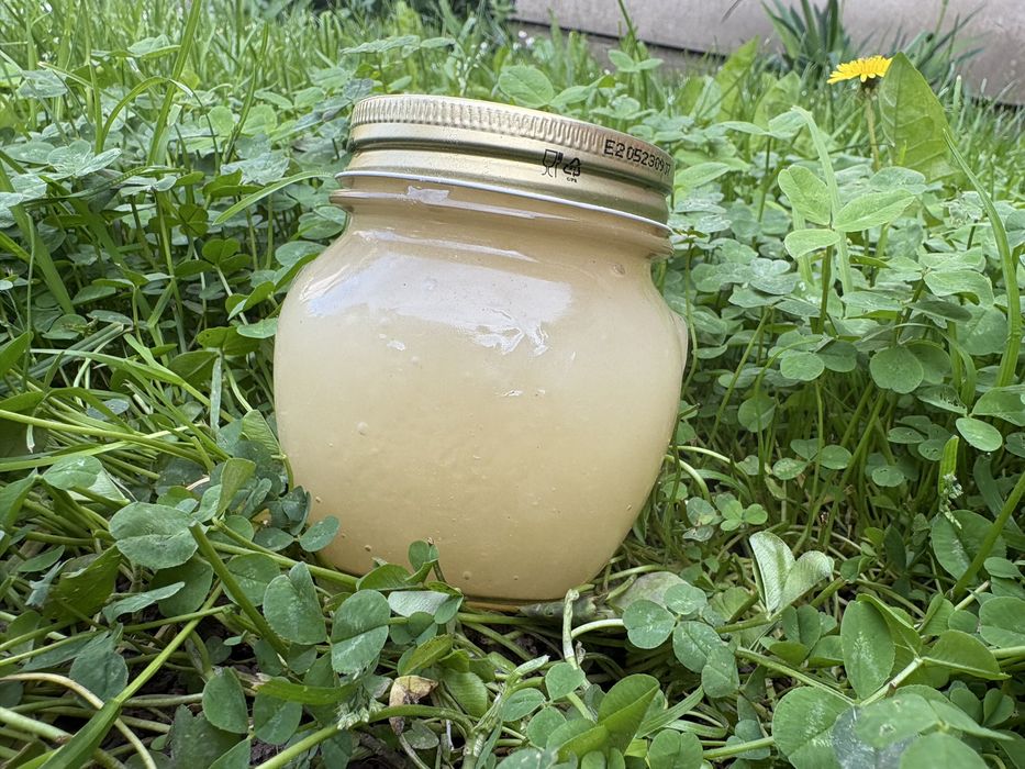 Miere de rapiță naturală