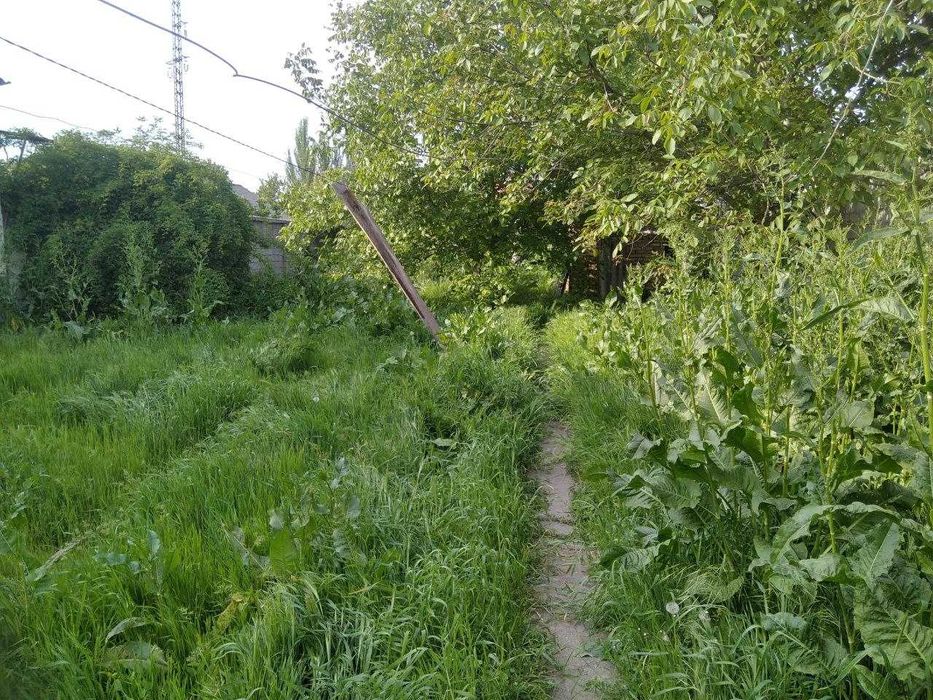 Янгибазар , участок 5,8 соток