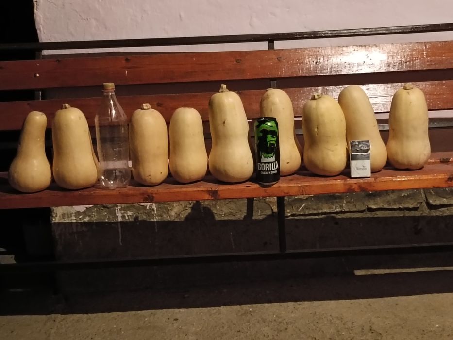 Тыква. Асқабақ..