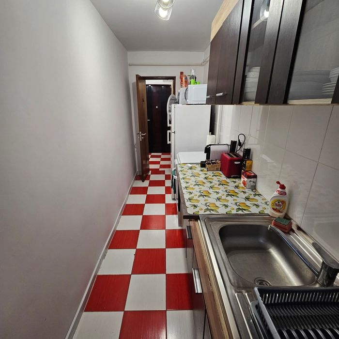 Garsoneier de inchiriat , Lujerului