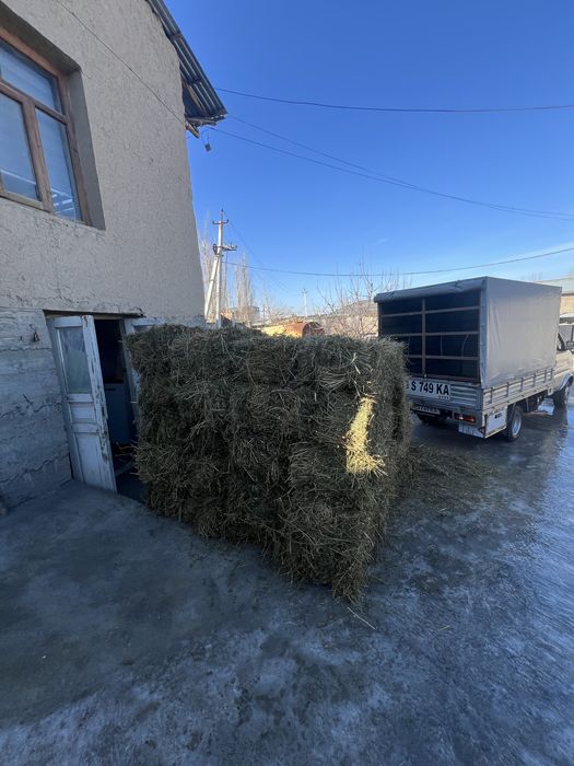 Beda sotiladi 2-3 oʻrim