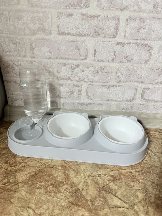 Продается кошка сфинкс.