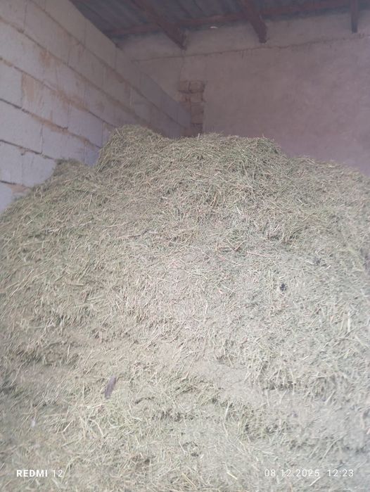 Жоңышка сатылады