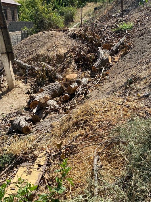 Дрова бесплатные