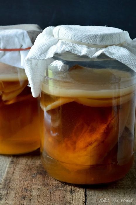Kombucha: Scoby + lichid starter
