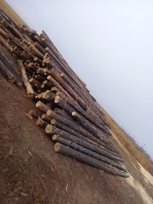 Продаётся подтоварник