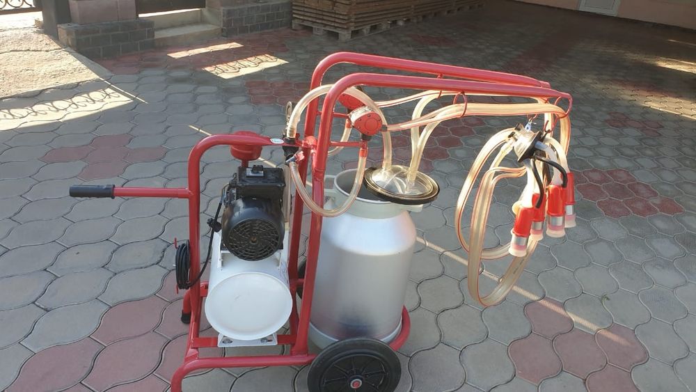 Доильный аппарат