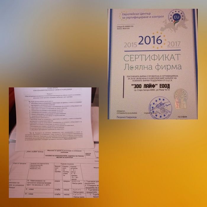 Мини зайци / Декоративни зайци от мини ферма