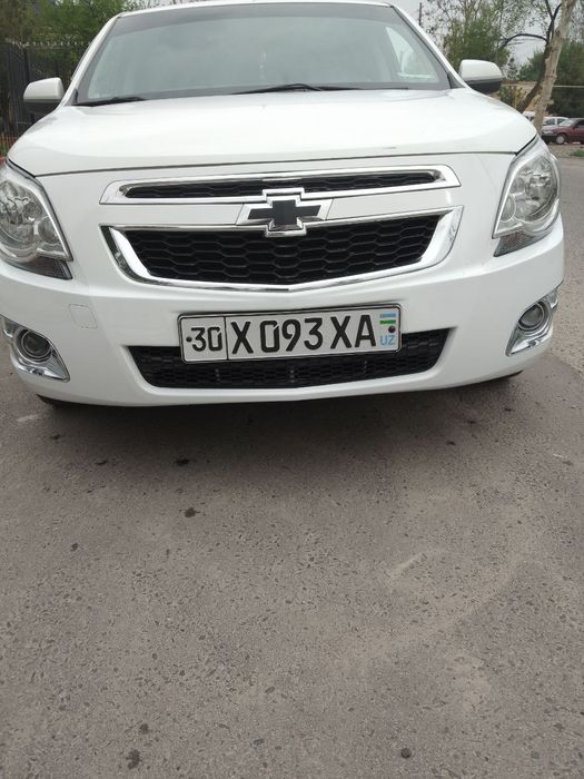 Samarqand kobolt sotiladi