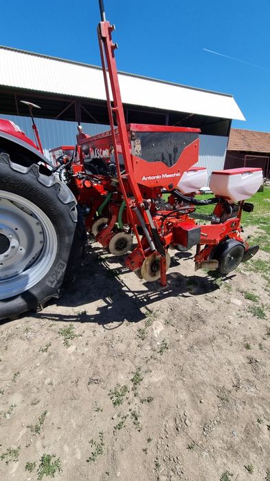 Semanatoare prasitoare  maschio/mascar  maxi 5