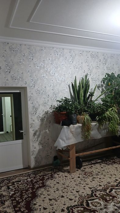 30 sotih yerimiz bor 15 sotihiga uy qurulgan 15 sotihi yer boʻyicha