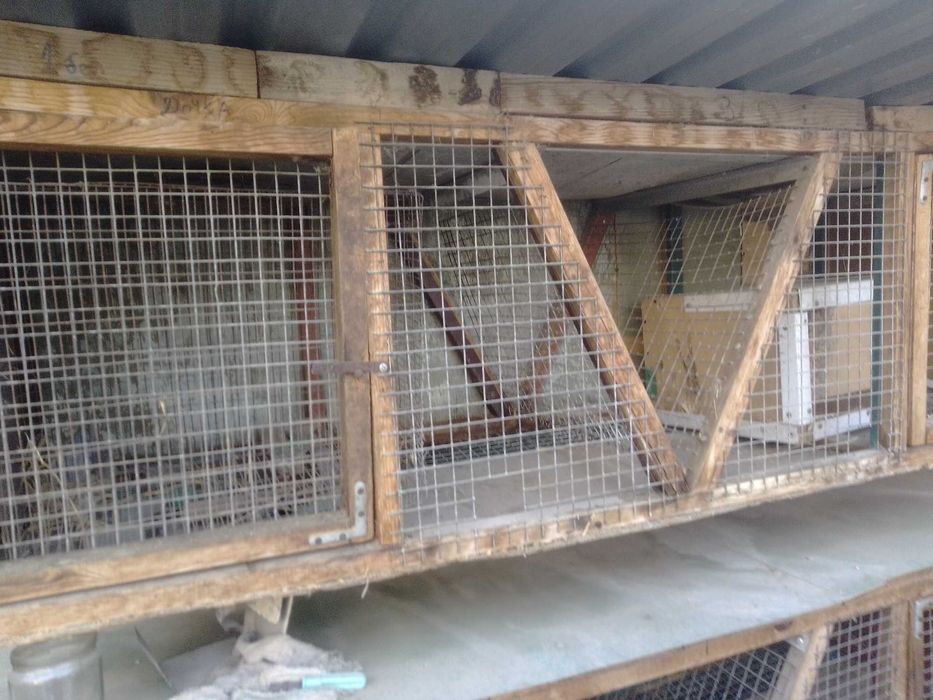 продам клетки для кроликов