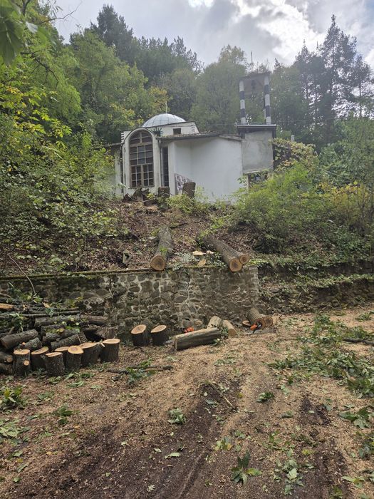 Рязане и кастрене на опасни дървета