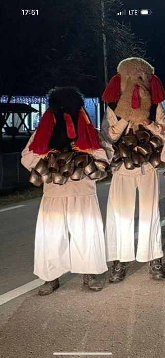 Ham Dronje (brondoș)