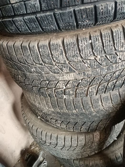 Донгелек сатамын