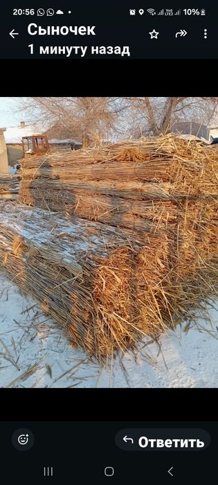 Продаю с камыса плиту