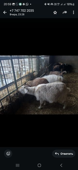 Ешкілер сатылады