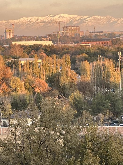 Своя 2х комнатная в Центре, с мебелью и техникой