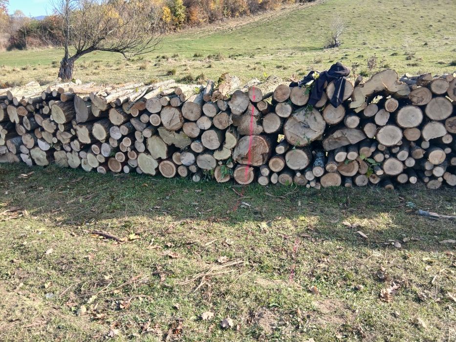 Lemne de foc csrpen acati