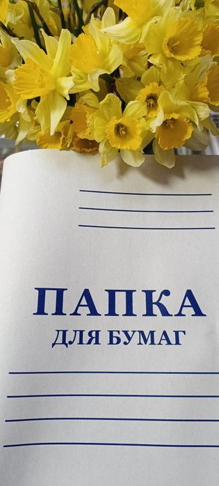 Папка-скоросшиватель