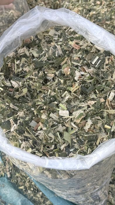 Silos qoplangan katta abyomda