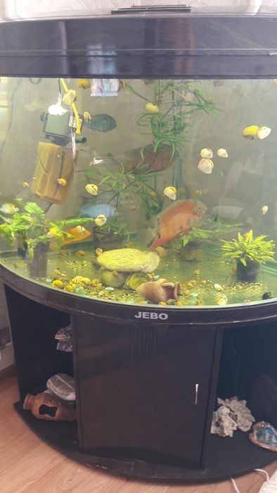 Аквариум фирмы JEBO.