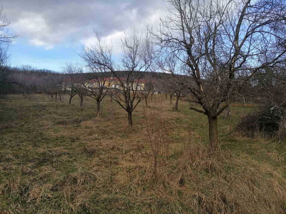 Парцел в регулацията на с.Гумощник