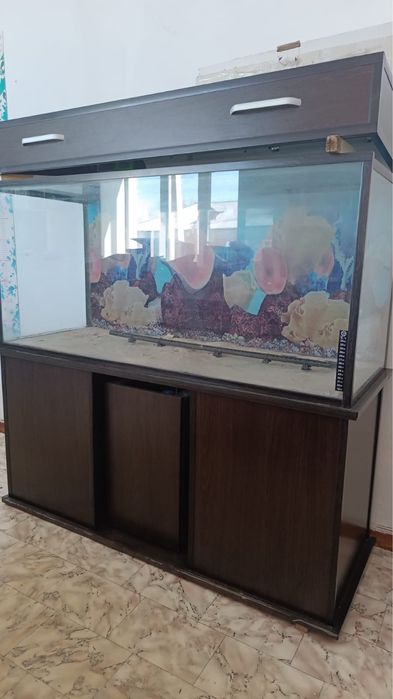 Продается большой  аквариум