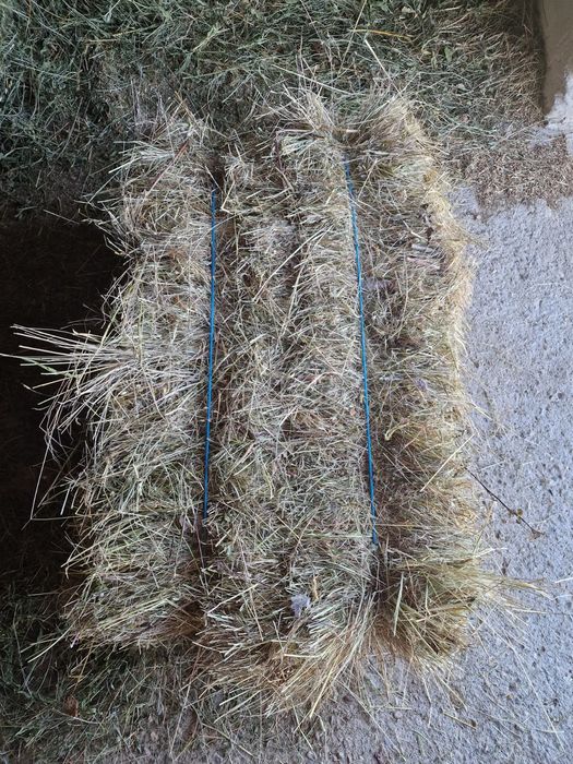 De vânzare baloti de fan