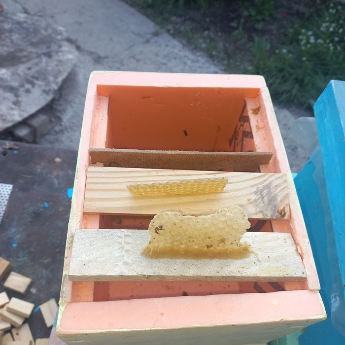 Облетники для пчел