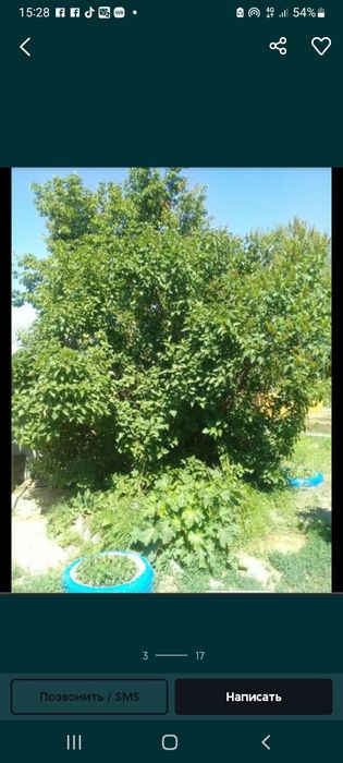 Продаётся дачный участок