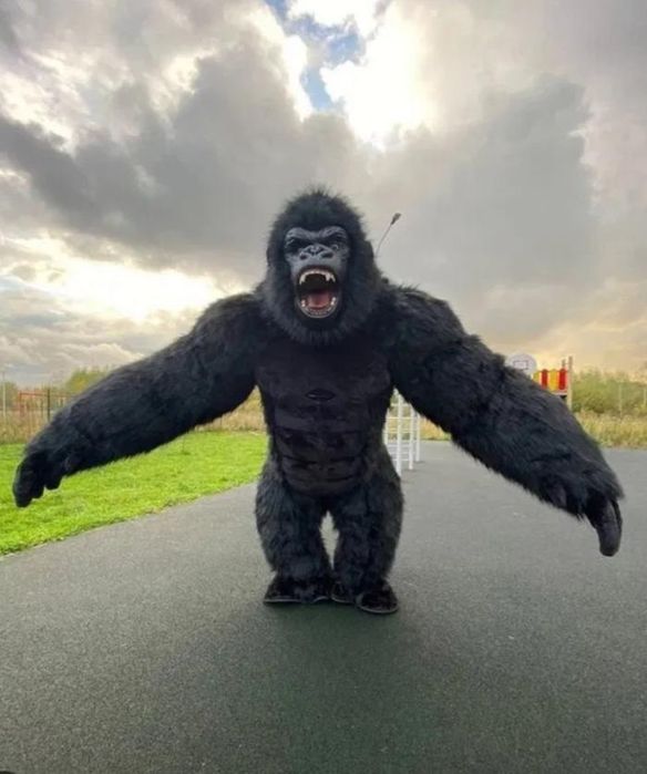 Мишка тедди горилла