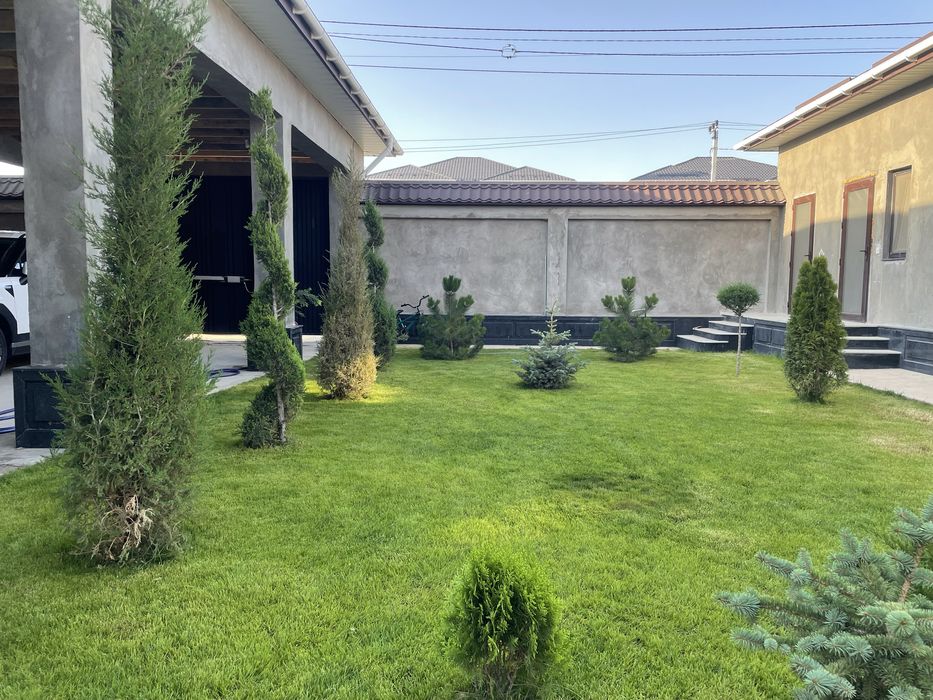 Газон,автополив,полив