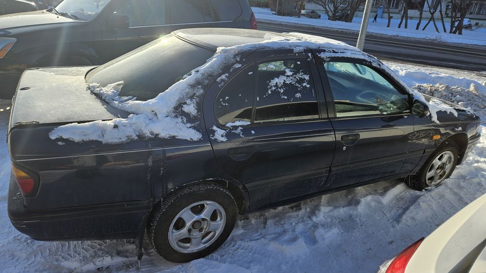 Примера продаётся