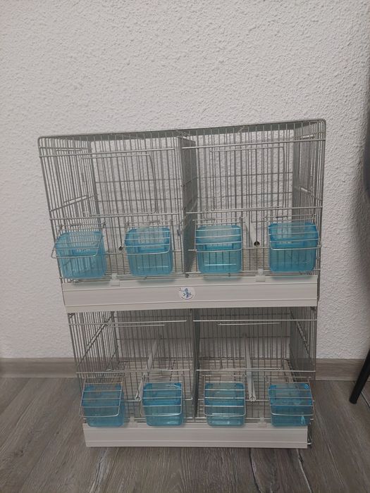 Canari ,pescarusi japonezi și 1 pereche perusi standard