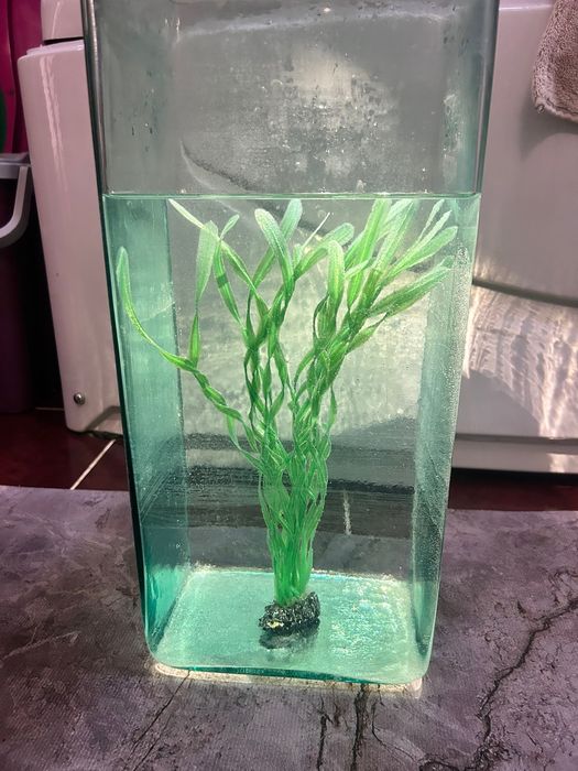 Аквариум Сатылады 20 литр