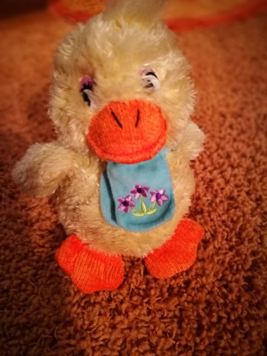 Плюшено пате